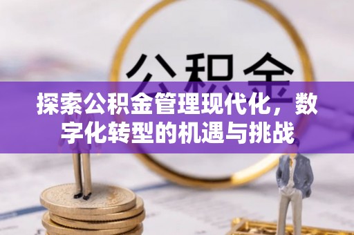 班戈探索公积金管理现代化，数字化转型的机遇与挑战