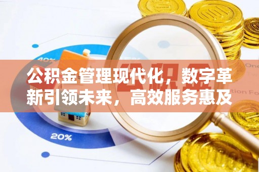 班戈公积金管理现代化，数字革新引领未来，高效服务惠及民生