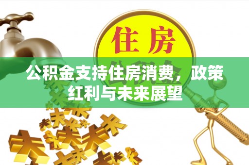 班戈公积金支持住房消费，政策红利与未来展望