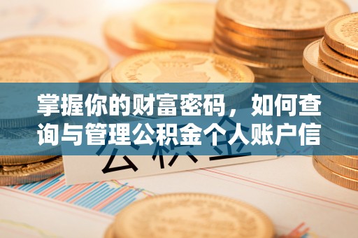 班戈掌握你的财富密码，如何查询与管理公积金个人账户信息